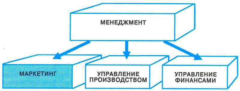 Схема, иллюстрирующая место маркетинга в системе менеджмента