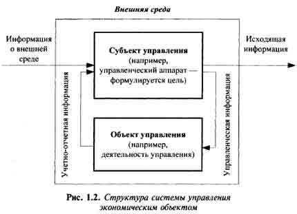 Структура системы управления  экономическим объектом